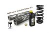 Progressive BLACK-T replacement springs Stage1 for fork and shock absorber fit BMW RnineT Scrambler/UrbanG/S from 2015
