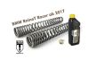 BLACK-T fork springs Stage1 progressive for BMW RnineT Racer from 2017 onwards