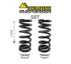 Replacement springs Height lowering kit -20mm, for BMW R1250GS Adventure 2018-2022 "Original shocks with BMW Dynamic ESA" 2018 - 2021