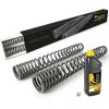 Progressive fork springs for Yamaha XT660Z Tenere (no ABS) *from 2008*