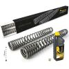 Progressive fork springs for Yamaha 700 Tenere from 2019 -35mm lowering