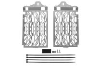 Stainless steel radiator protector, Silver BMW R1250GS/ R1250GS Adventure